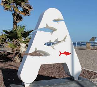 Platz vor dem National Aquarium Malta