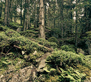 Wandern in Serfaus-Fiss-Ladis 