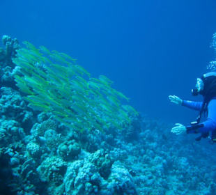 Unterwassereindrücke