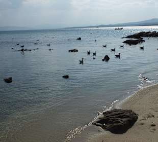 Ruhiger Strand