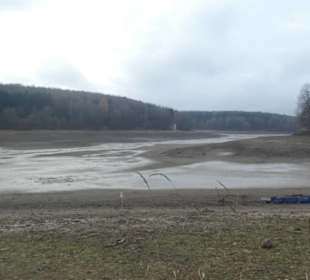 Nov. 2021: Am abgelassenen Ellertshäuser See