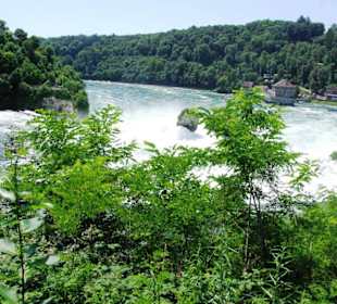 Der Rheinfall von Oben aus gesehen