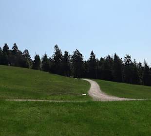 Wandergebiet Ruhestein