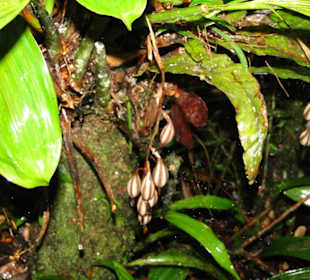 Ausflug Wildfife Expeditions