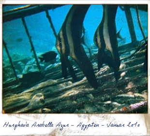 Ich beim Schnorcheln