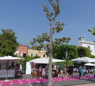 Roséweinfest Bardolino
