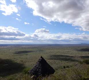 Tsavo Ost und West Safari