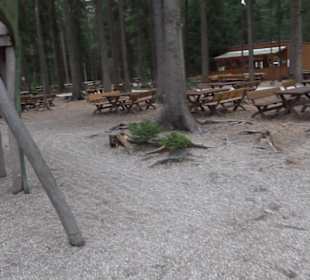 Dinosaurier Museum Altmühltal