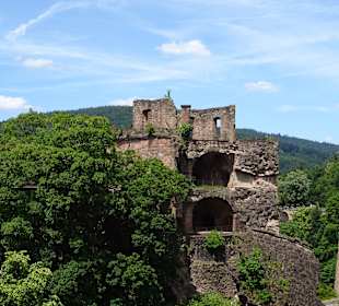 Schloss Heidelberg und Park