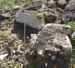 Alpinum