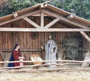 Ulmer Weihnachtsmarkt 2019