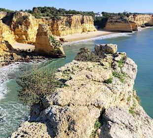 Seven Hanging Valleys Trail 