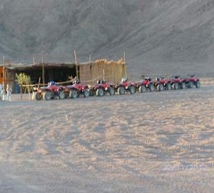 Quadsafari in die Wüste