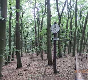 Szlak prowadzący z Międzyzdrojów na Kawczą Górę