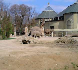 Tierpark Hellabrunn in München