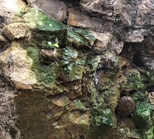 Inseltour Romántica Alltours