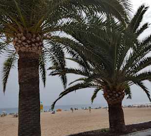 Relaxia Jandia Luz Apartments