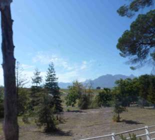 Weingebiet Stellenbosch
