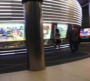 FIFA World Football Museum