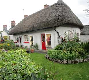 Adare