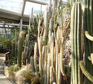 BOTANISCHER GARTEN