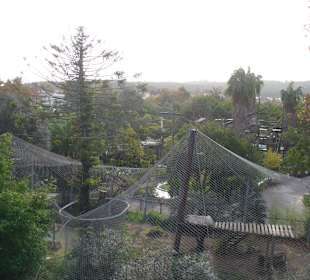 Blick aus der Seilbahn