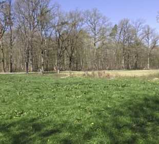 Sport- und Freizeitpark Markwasen