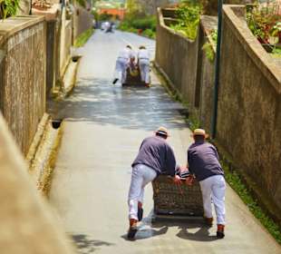 Korbschlittenfahrt Monte