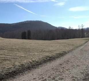 Naturschutzgebiet Meisenbühl