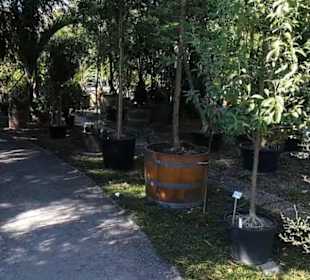 Botanischer Garten