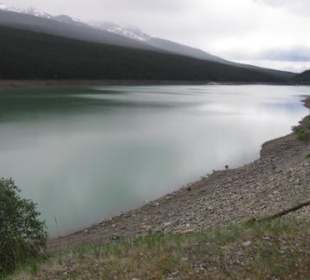 Medicine Lake mit einsamem Schwarzbär