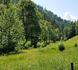 Rundwanderweg Baiersbronn