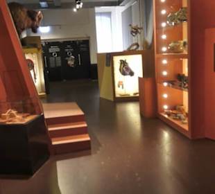 Nordamerika Native Museum