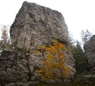 Naturschutzgebiet Großer Pfahl