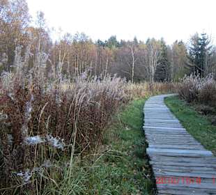 Bohlenweg durchs Moor