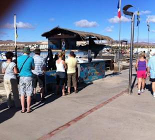 Ozeanium der schlimmsten Art in Caleta de Fuste