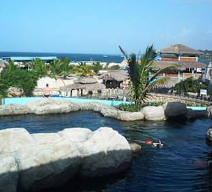 Blick über den Park