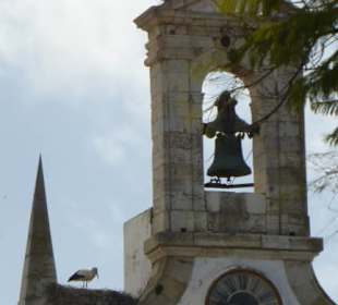 Brütende Störche auf dem Arco da Vila