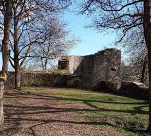Burg Ruine Honberg in Tuttlingen