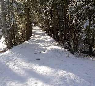 Waldwanderweg Vilsalpsee