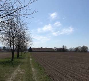 Geschichtlicher Lehrpfad Einsiedel