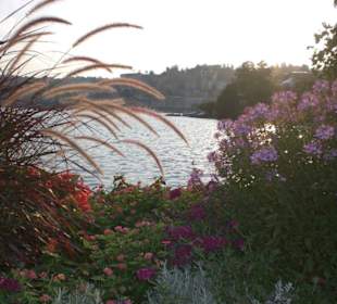 Lago visto dal parco in centro di Lugano