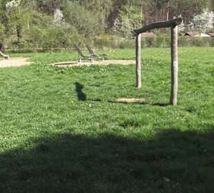 Wanderparkplatz Tannenwald