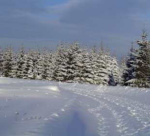 Wandern Neuhaus am Rennweg