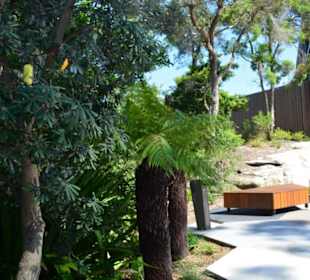 Taronga Zoo