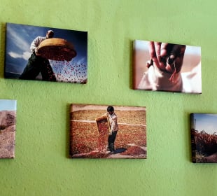 Persepolis Heidelberg