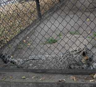 Zoo Warszawa