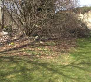 Kräutergarten Inzigkofen