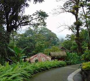 La Paz Waterfall Gardens
