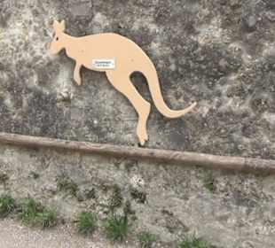 Eurasienbereich - Sprünge der Tiere